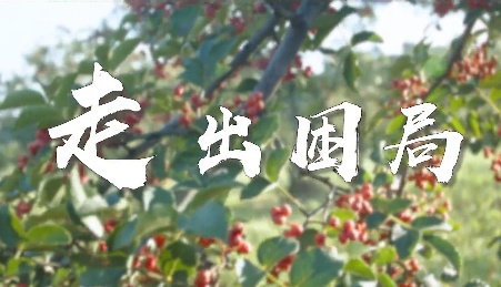 走出困局