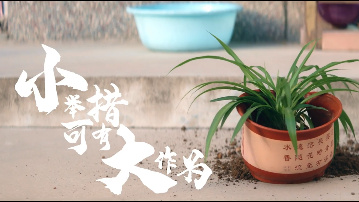 小舉措可有大作為