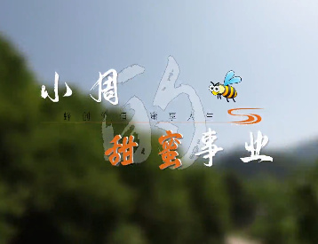 小周的甜蜜事業