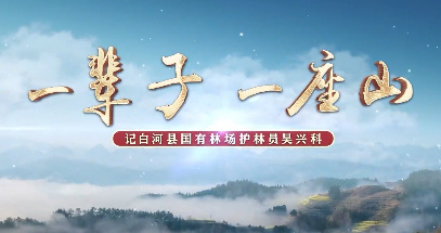 一輩子一座山