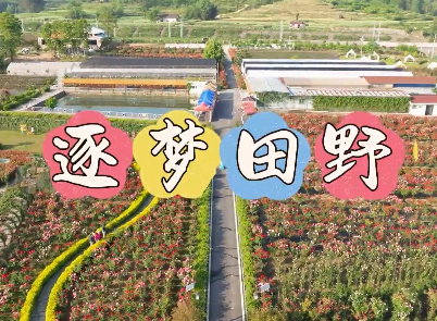 【8090新農人】安康市漢...