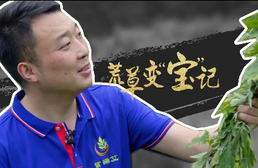【8090新農人】安康市紫...