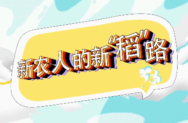 【8090新農人】安康市旬...
