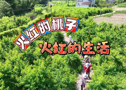 我的村“我”代言——火...