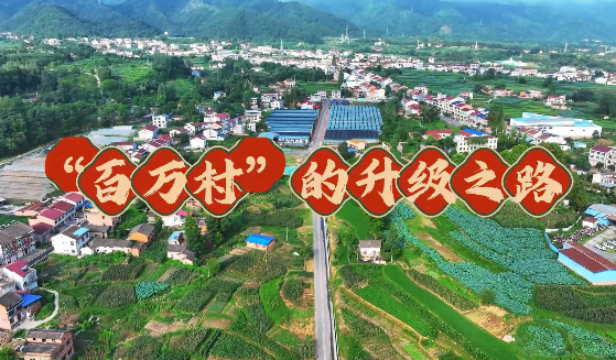 我的村“我”代言——百...
