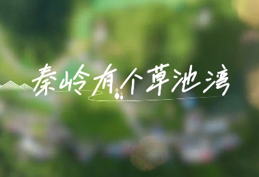 秦嶺有個草池灣