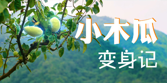 小木瓜變身記