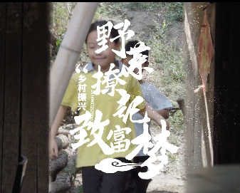 野菜撩起致富夢