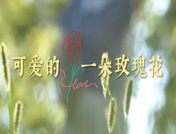 可愛的一朵玫瑰花