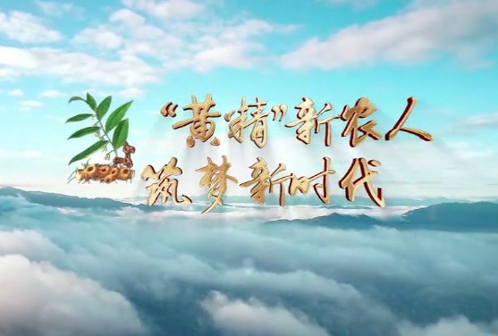 “黃精”新農人 筑夢新時13