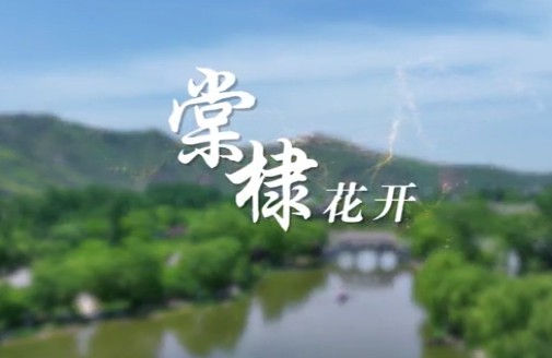 棠棣花開4