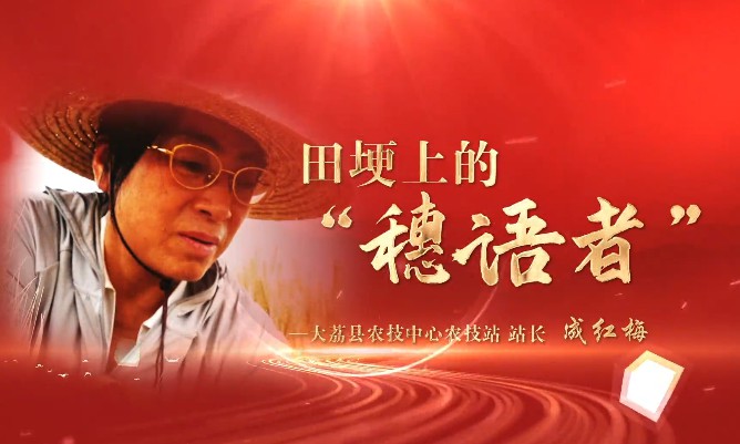 田埂上的“穗語者”